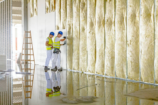 Types of Insulation We Offer in Mountain Top, PA